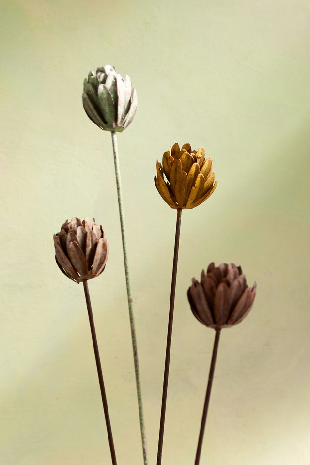 Protea Iron Stem #2