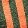 Army/Bright Poppy