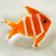 Clown Fish
