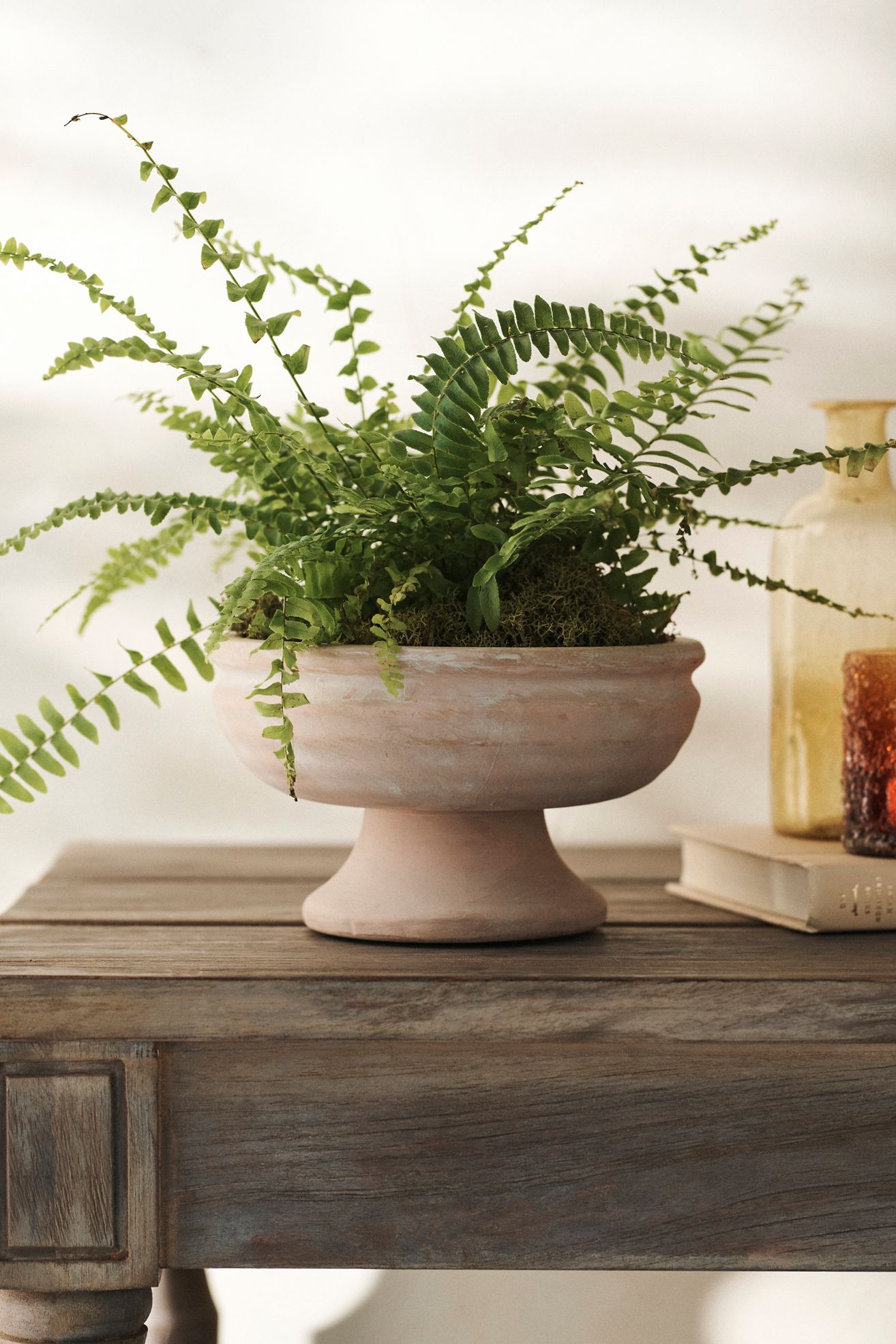 Wide Bowl Urn Planter - Brown, 7"