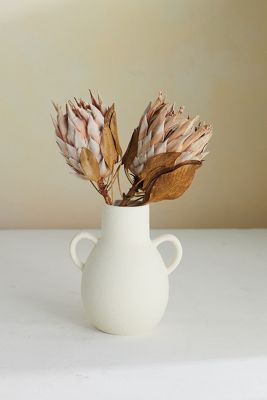 Terrain Dried King Protea Stems, Blush Set Of 2 In White