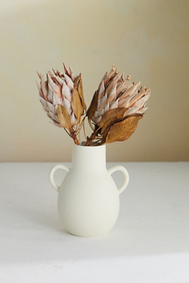 Terrain Dried King Protea Stems, Blush Set Of 2