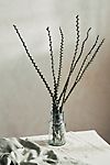 Straight Ladder Branches, Set of 9 Extra Tall
