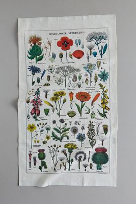Wildflowers Dish Towel
