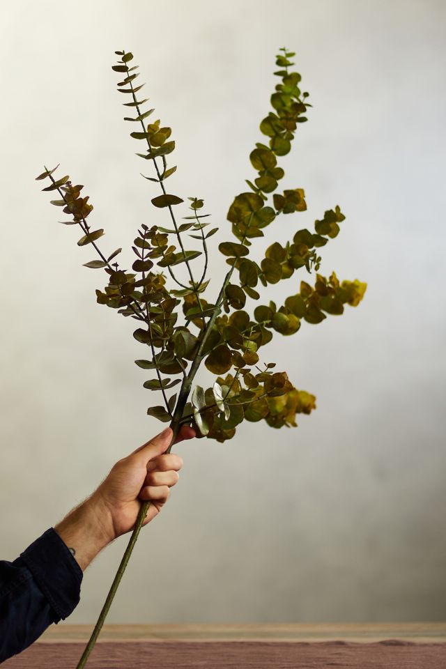 Faux Baby Eucalyptus Bunch #1