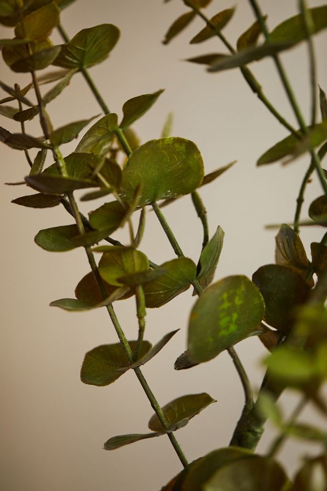Faux Baby Eucalyptus Bunch #2