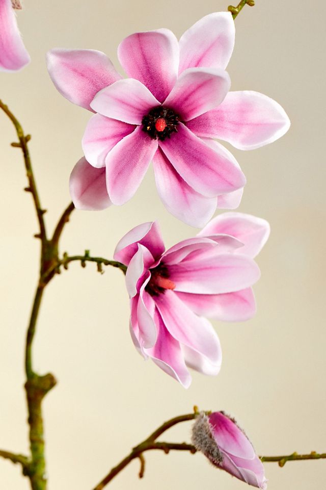 Faux Purple Magnolia Spray #1