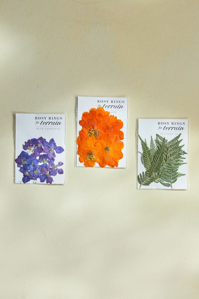 Rosy Rings Pressed Botanicals Packet, Cosmos, Ginkgo + Forget Me Nots #1