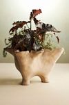 Fluted Mouth Footed Teak Bowl, Large