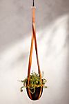 Hanging Teak Root Pot with Leather Straps