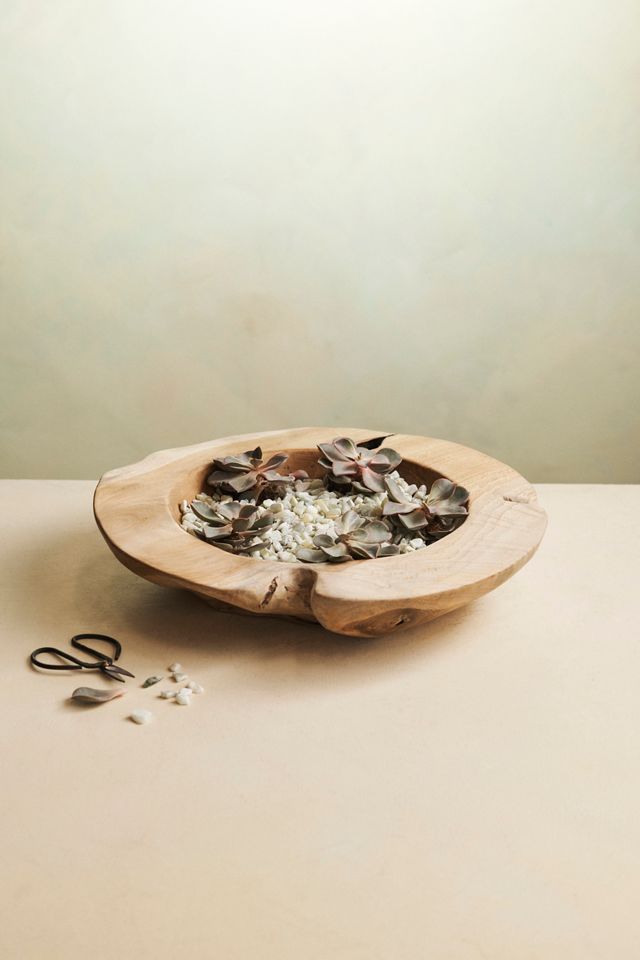 Teak Root Round Bowl Planter, 16"