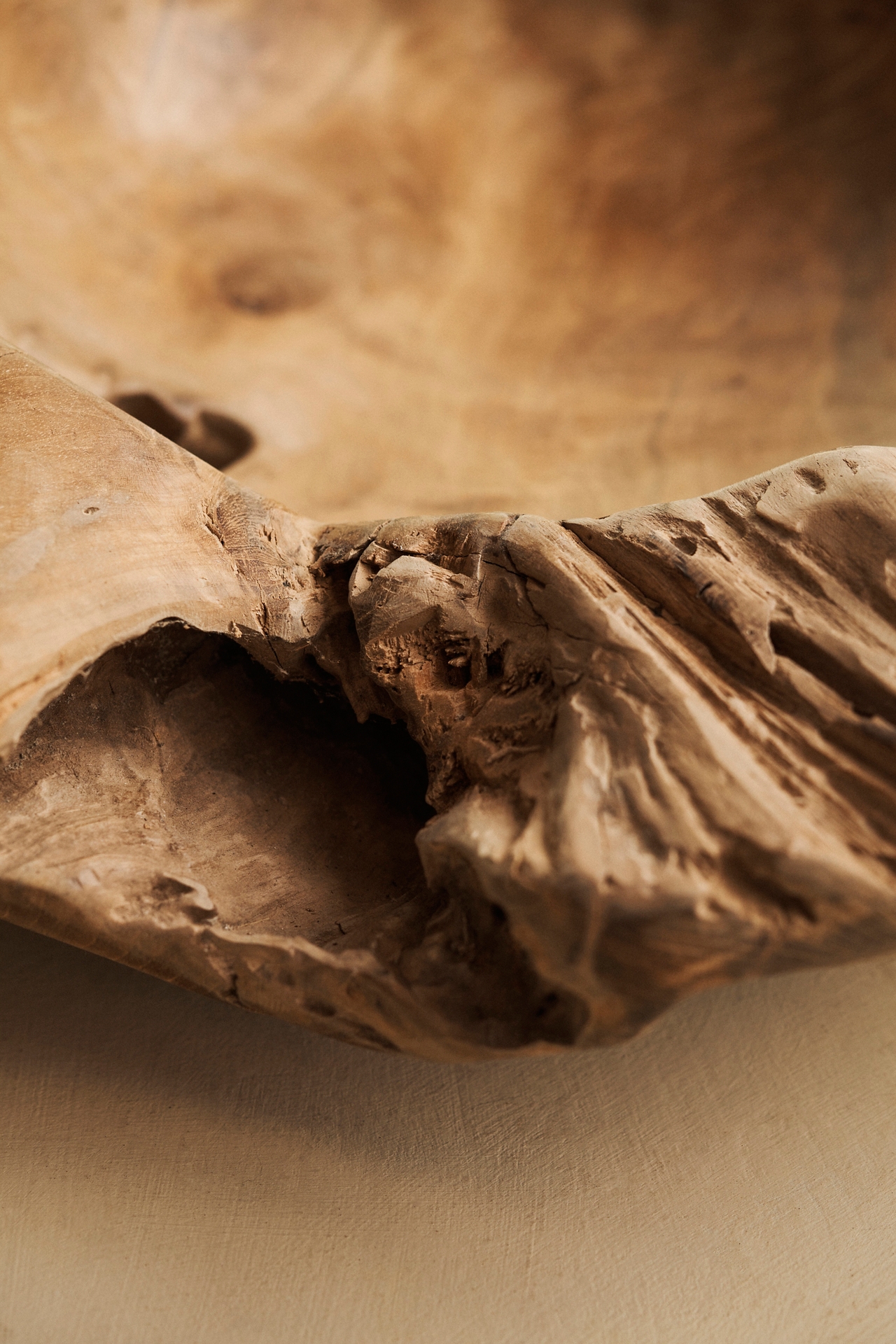 Teak Root Round Bowl Planter