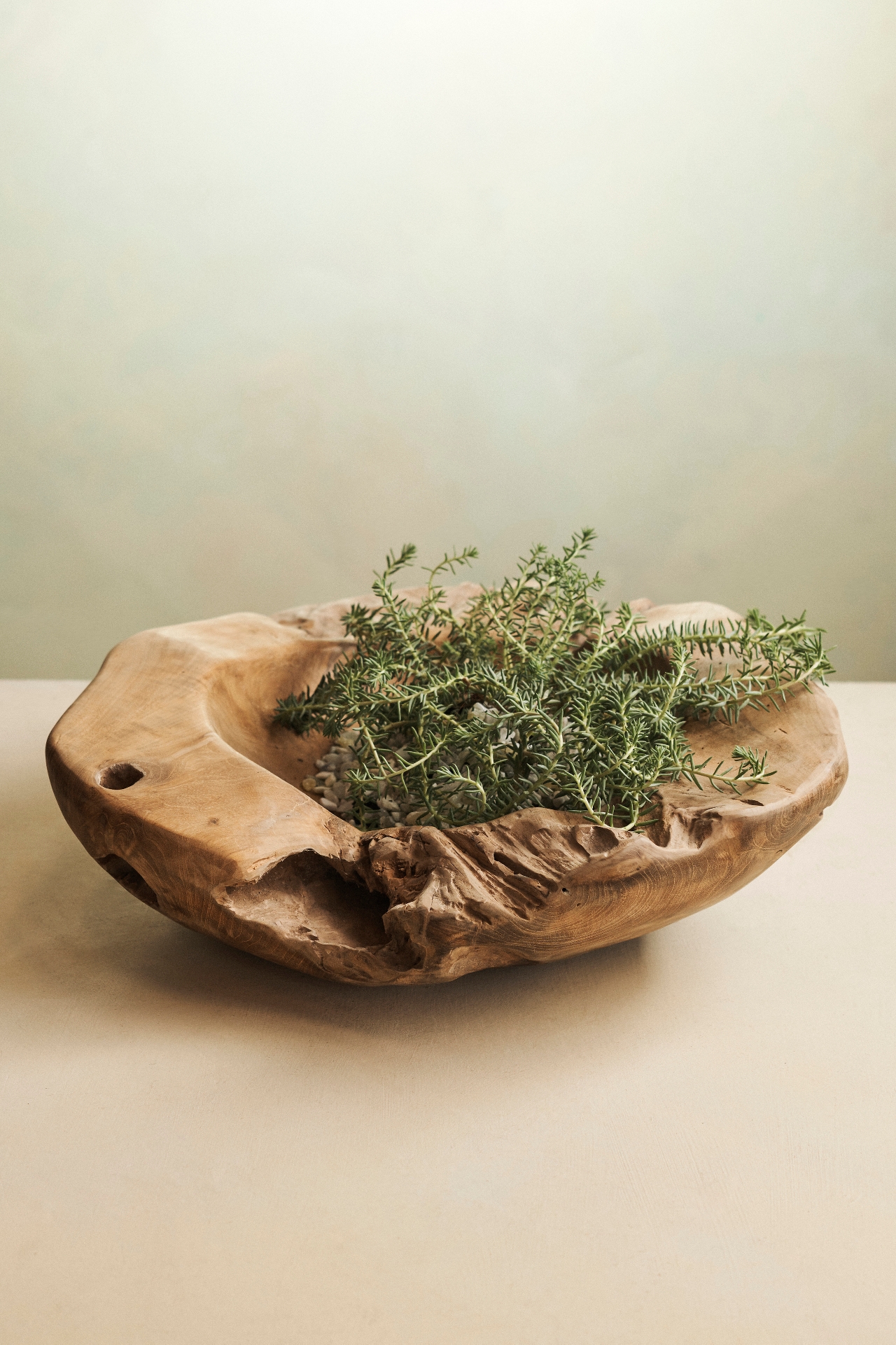 Teak Root Round Bowl Planter