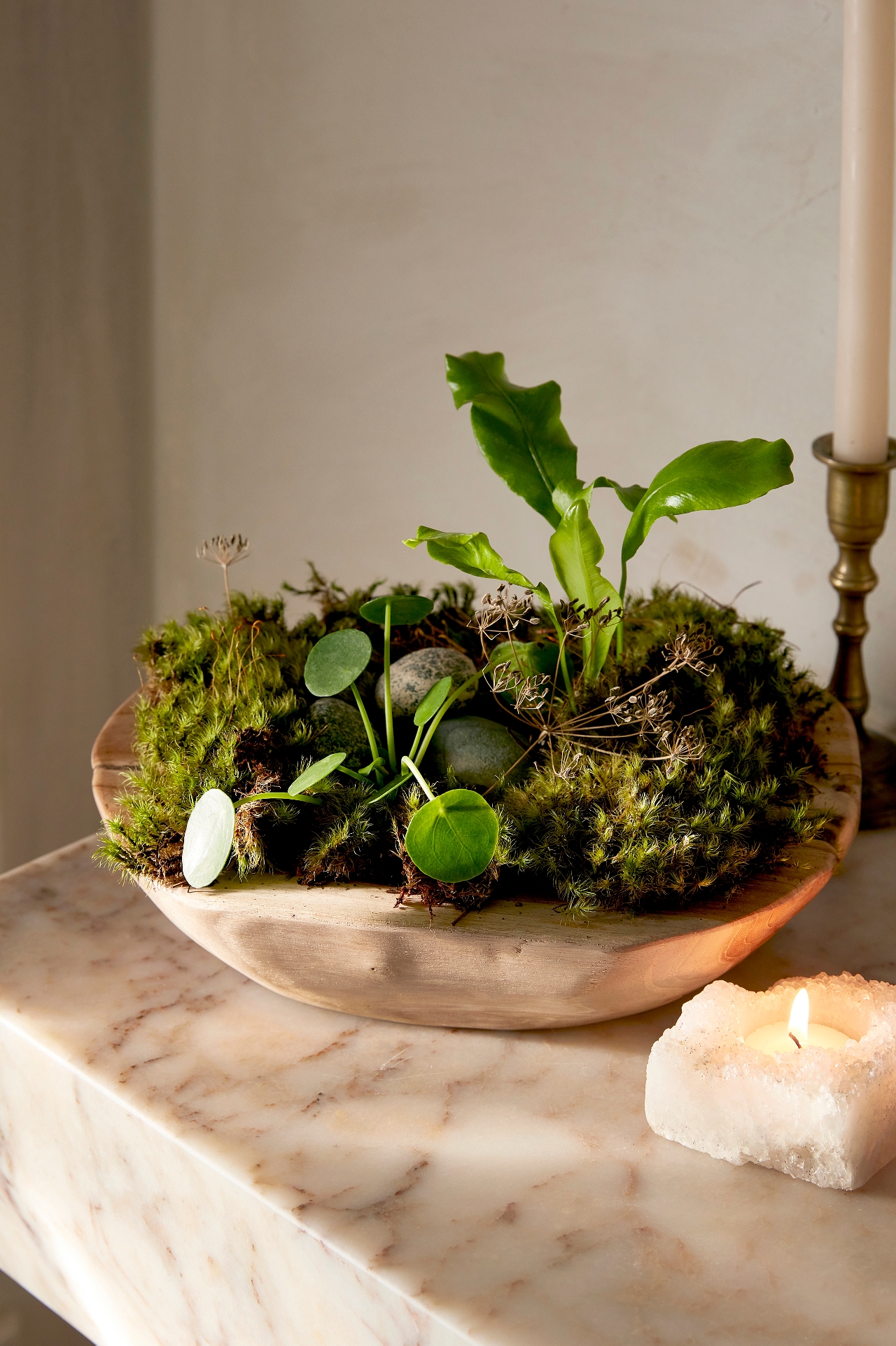 Teak Root Round Bowl Planter