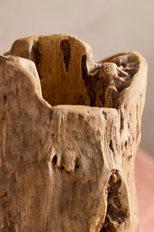 Teak Root Form Planter #2