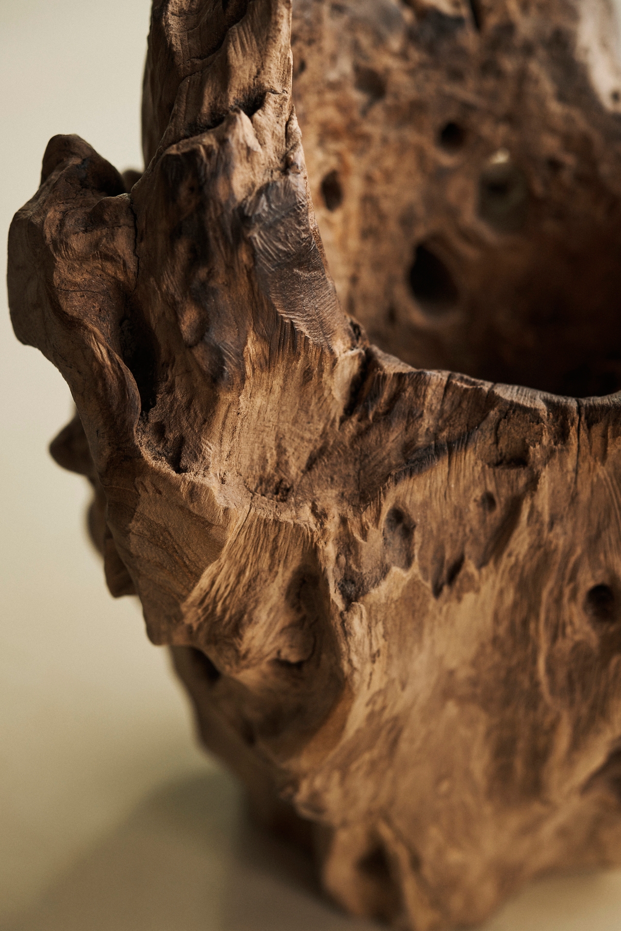 Teak Root Form Planter