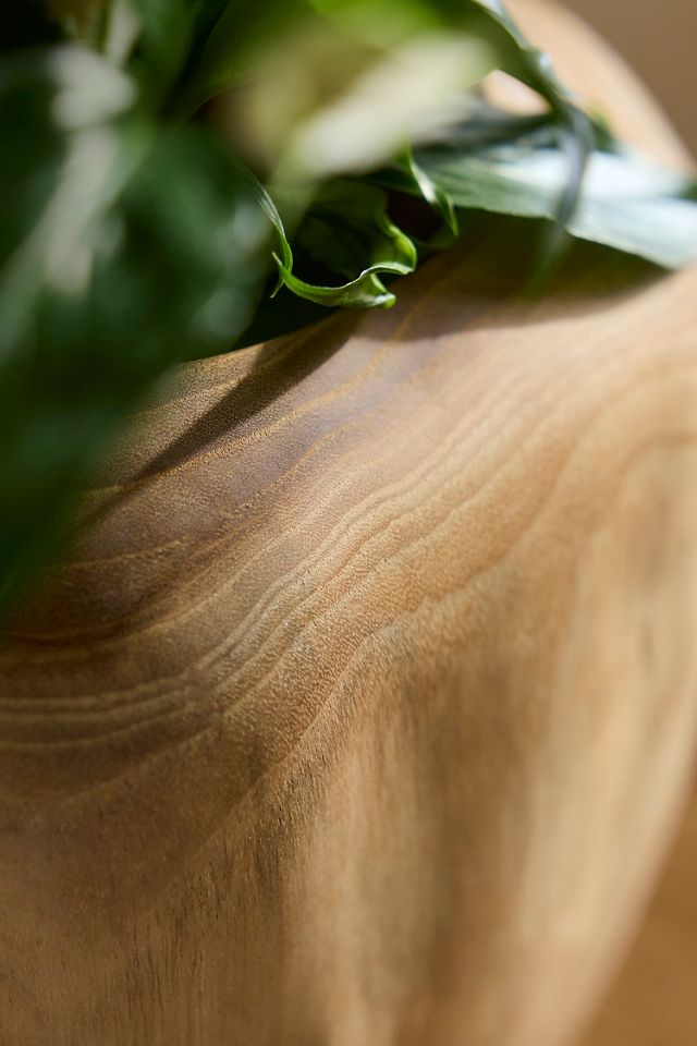 Teak Root Shoulder Planter #1