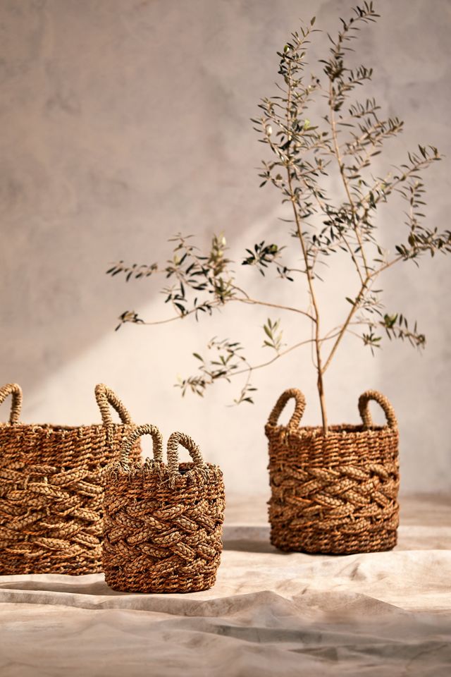 Braided Woven Handled Planter, 14" #3