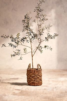 Braided Woven Handled Planter, 14"