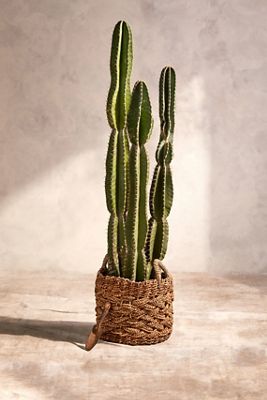 Woven Braided Handled Planter, 16"