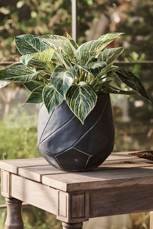 Geo Curve Cement Planter, 9
