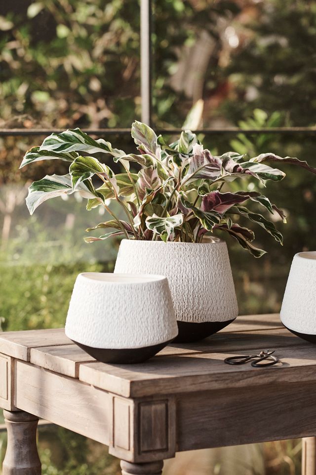 Textured Diamond Ceramic Planter, 8" #3