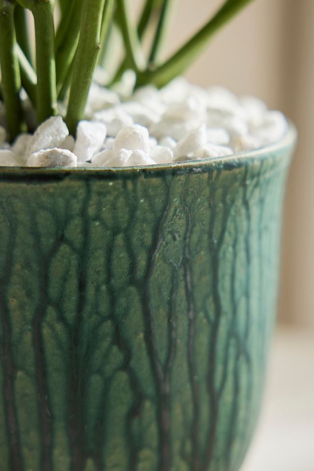 Drippy Ceramic Tulip Planter, 7" #1