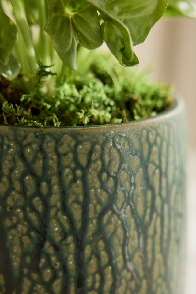 Drippy Ceramic Planter, 6" #1