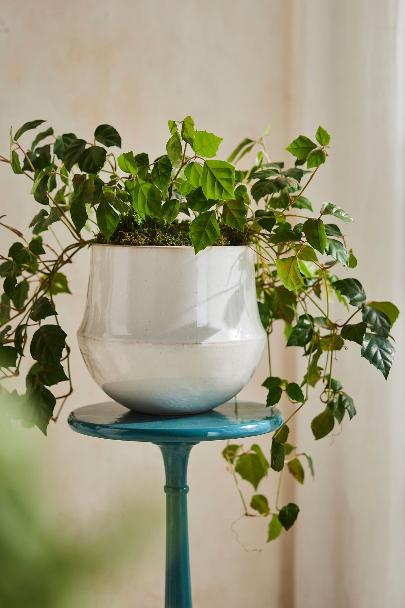 Speckled Bell Planter, 9" - White, 9"