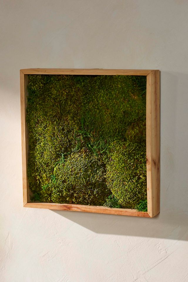 Live Mood Moss Wall Art in Black - Shop Now