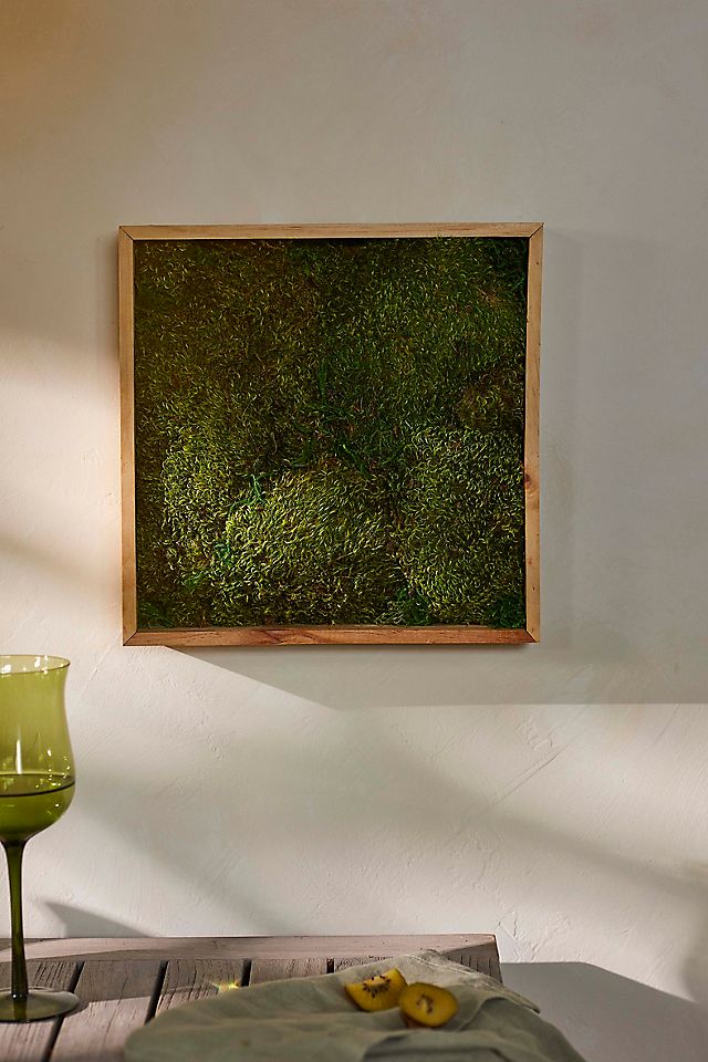 Live Mood Moss Wall Art in Natural Wood