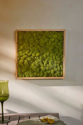 Framed Reindeer Moss | AnthroLiving