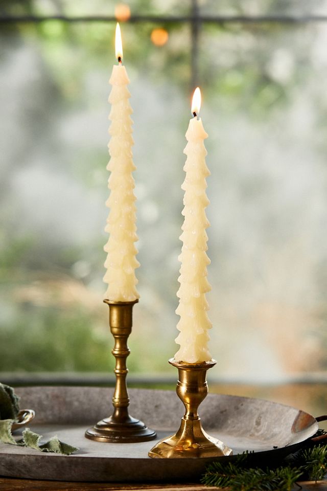 Tree Unscented Taper Candles, Set of 2 #3