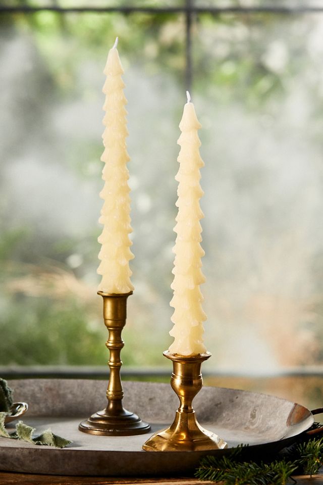 Tree Unscented Taper Candles, Set of 2 #2