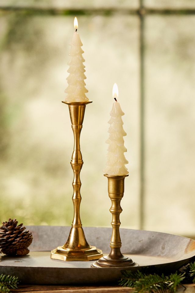 Tree Unscented Taper Candles, Set of 2 #4