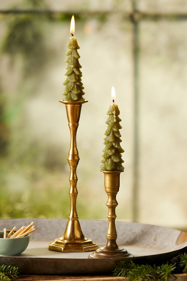 Tree Unscented Taper Candles, Set of 2