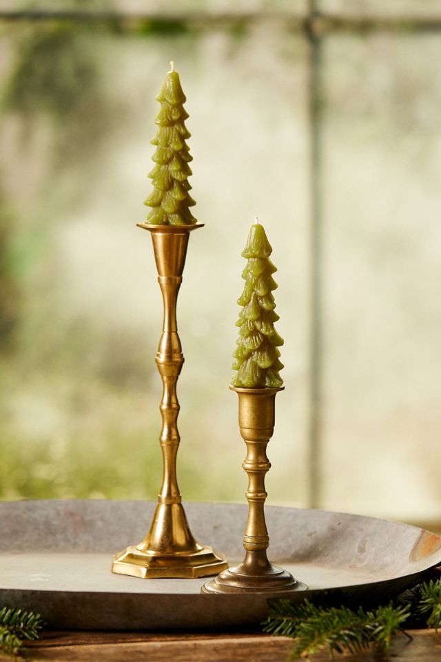 Tree Unscented Taper Candles, Set of 2 #4