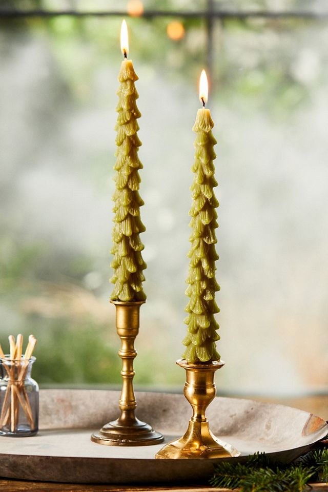 Tree Unscented Taper Candles, Set of 2 #2
