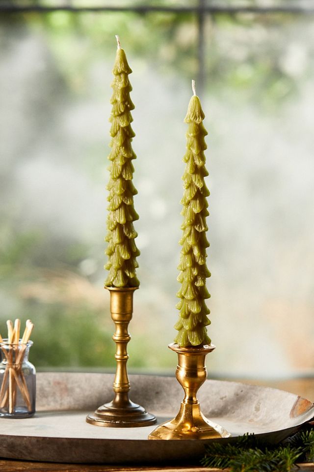 Tree Unscented Taper Candles, Set of 2 #5