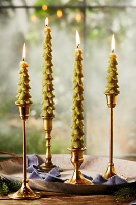 Tree Unscented Taper Candles, Set of 2
