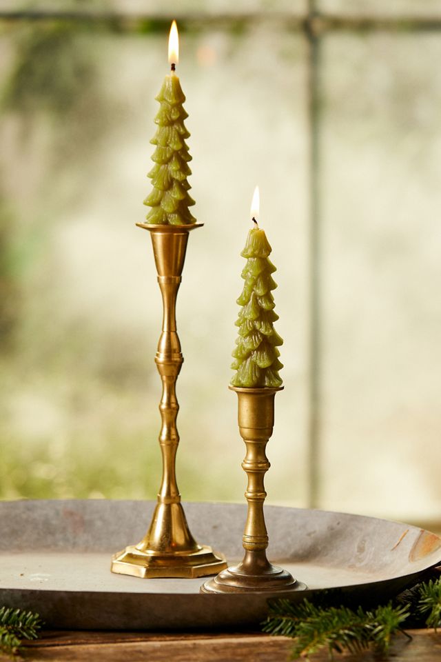 Tree Unscented Taper Candles, Set of 2 #3