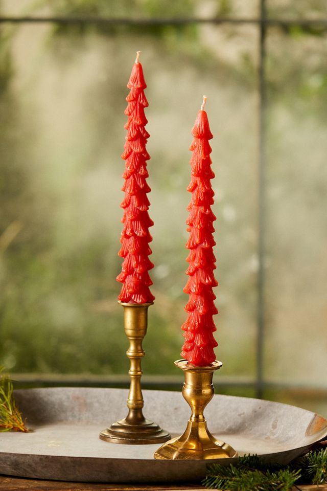 Tree Unscented Taper Candles, Set of 2 #4
