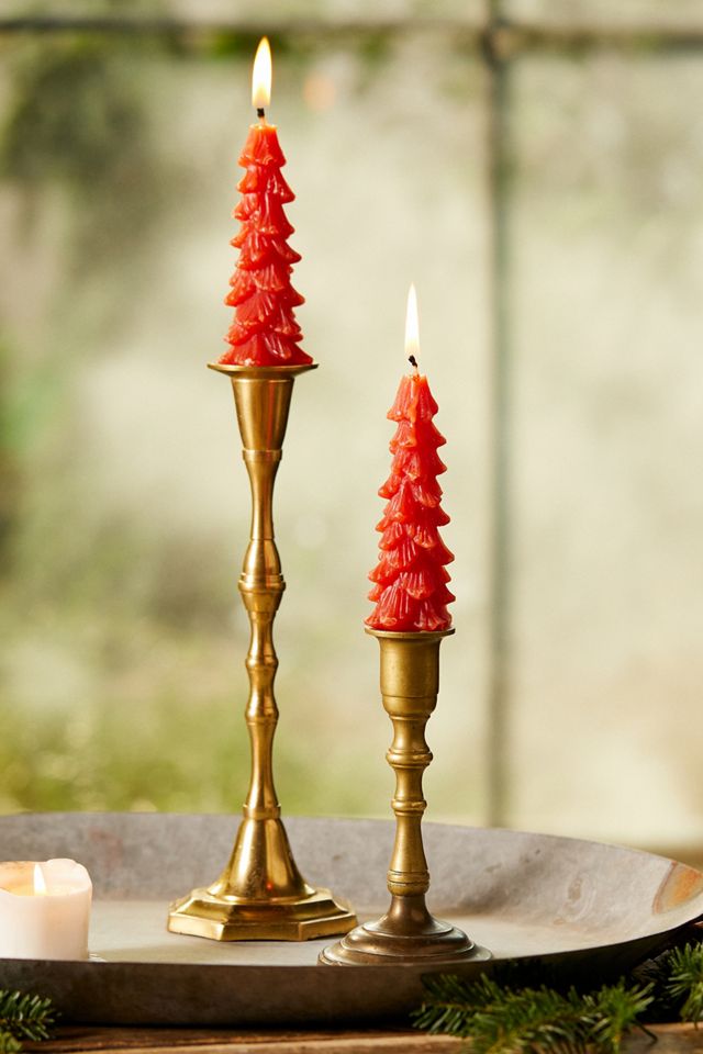 Tree Unscented Taper Candles, Set of 2 #3