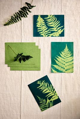 Sun Printing Kit, Green