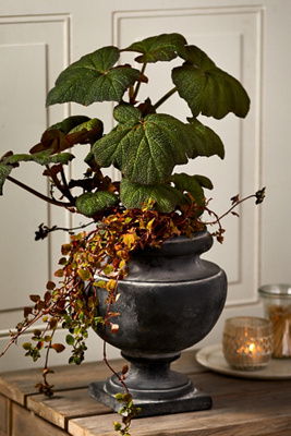 Terrain Rounded Cast Iron Urn Planter