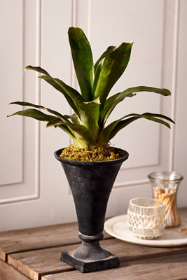 Terrain Flared Cast Iron Urn Planter