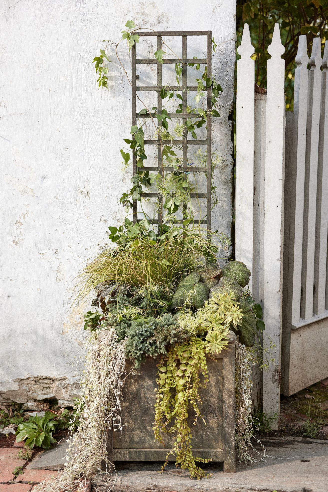 Iron Wall Trellis - Green, One Size
