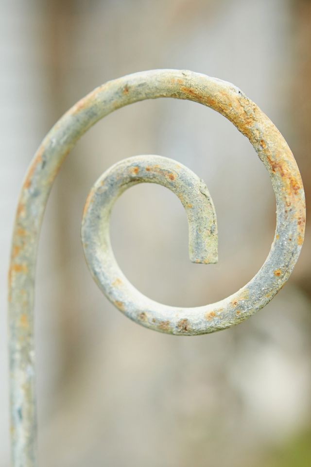 Fiddlehead Iron Stake #6