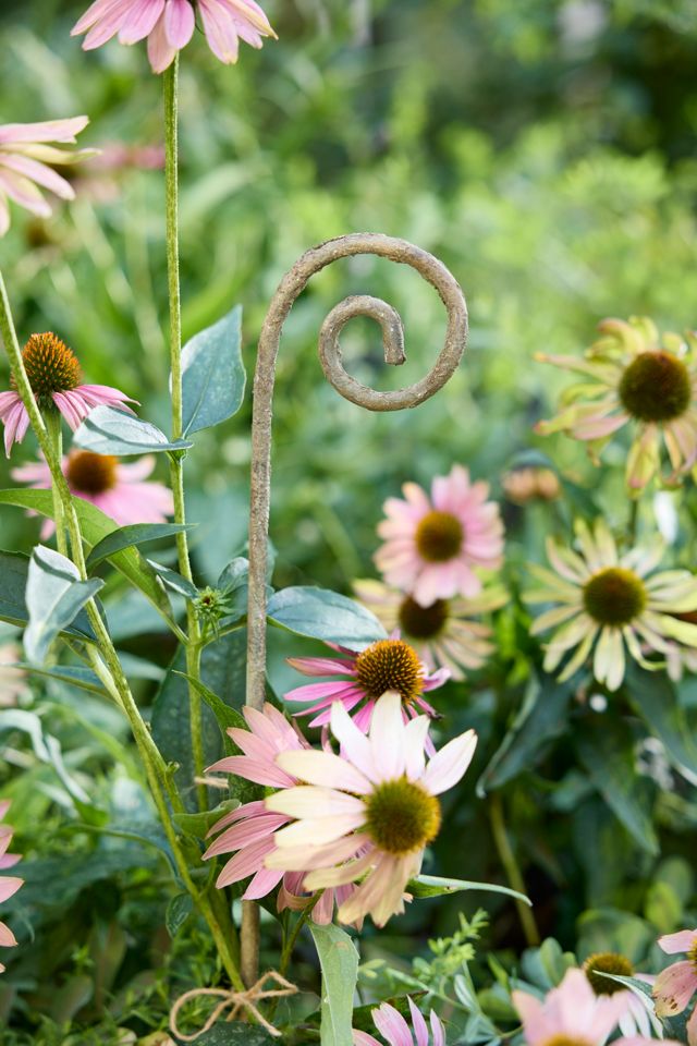 Fiddlehead Iron Stake #3