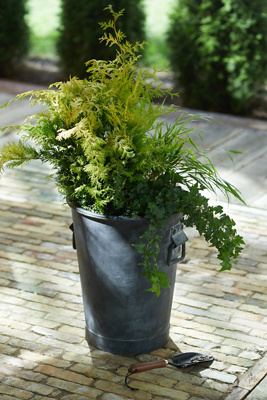 Terrain Taper Ring Handle Galvanized Planter, 16"